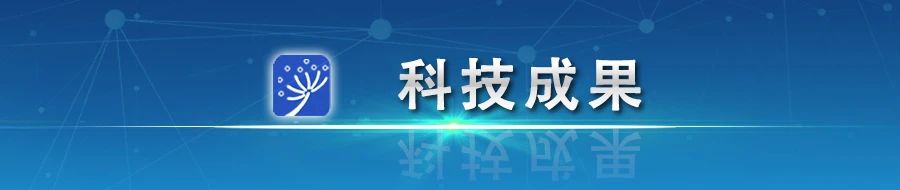 前沿科技与教育领域的交汇点