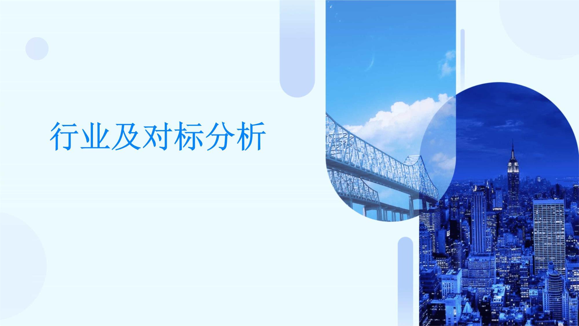 行业分析与标准探讨
