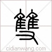 双线本的使用场景和用途