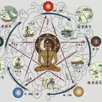 五、网站维护与优化策略分享