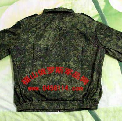 探寻俄罗斯服务器市场价格及趋势。
