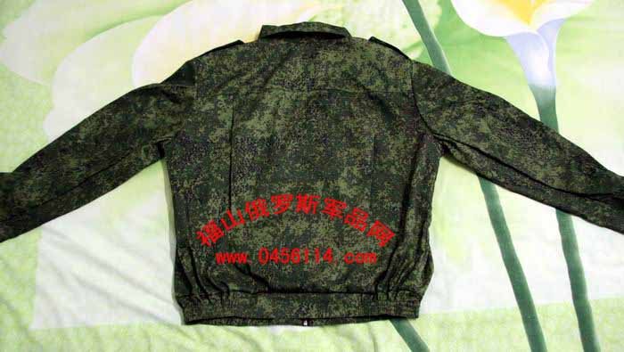探寻俄罗斯服务器市场价格及趋势