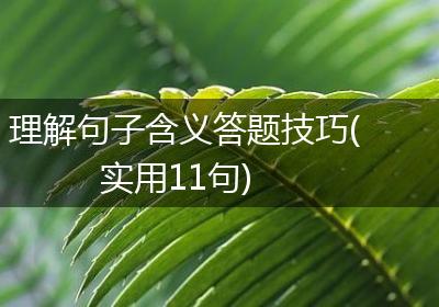 究竟如何解读？