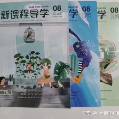 初学者指南与高级技巧结合