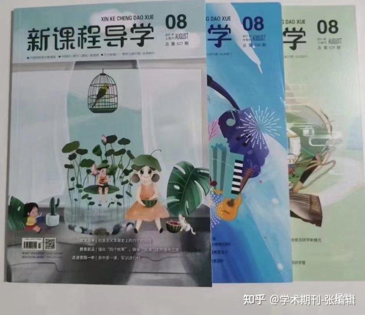初学者指南与高级技巧结合
