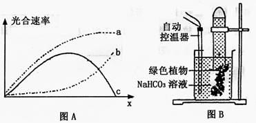 多方面因素影响下的实际花费探讨