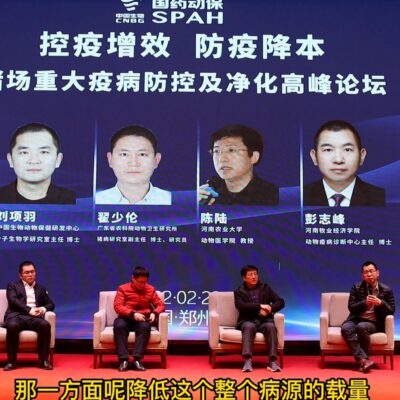 如何根据实际需求和功能布局选择合适的区域数量