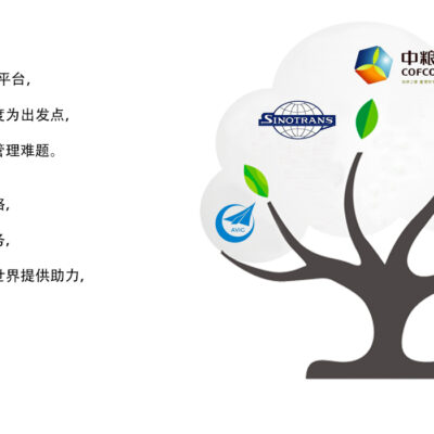 全面解读服务器租用成本