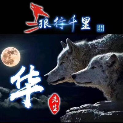 你不知道的腾讯云服务器IP秘密