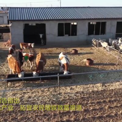 全面解析海神服务器数量及分布