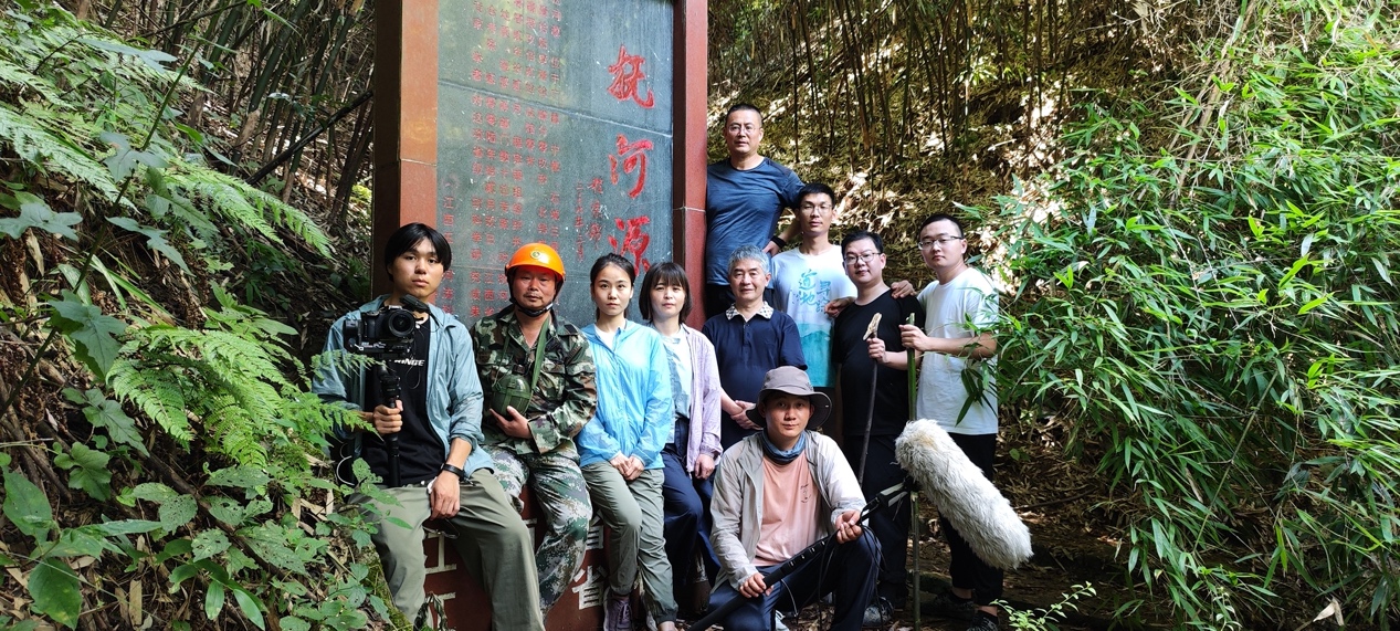 探寻服务器网络带宽的常规配置与速度奥秘