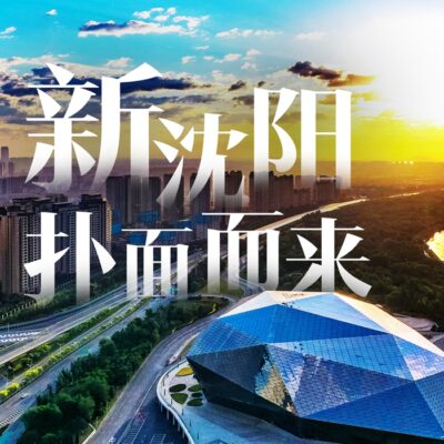 全面解析沈阳服务器租赁价格