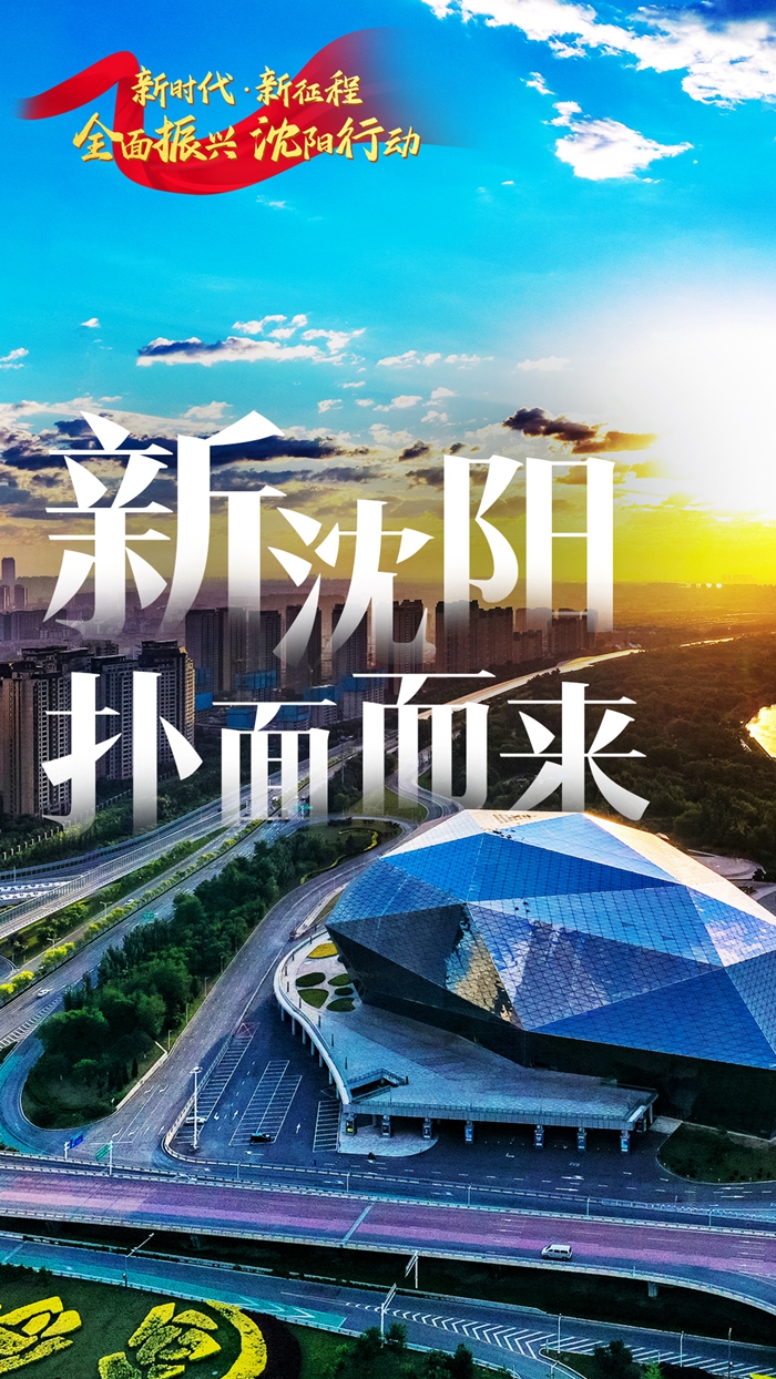 全面解析沈阳服务器租赁价格