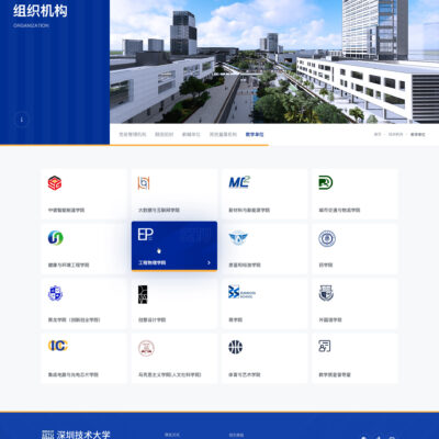 网站选择与设计