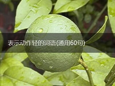 一步步教你轻松获取电脑主机名