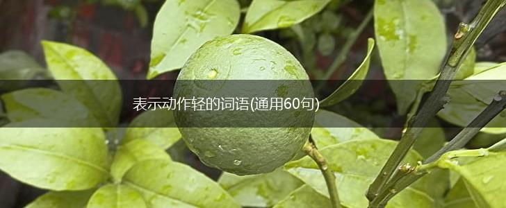 一步步教你轻松获取电脑主机名