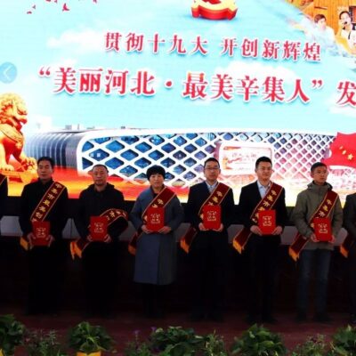 揭秘辛集云服务器厂家电话号码