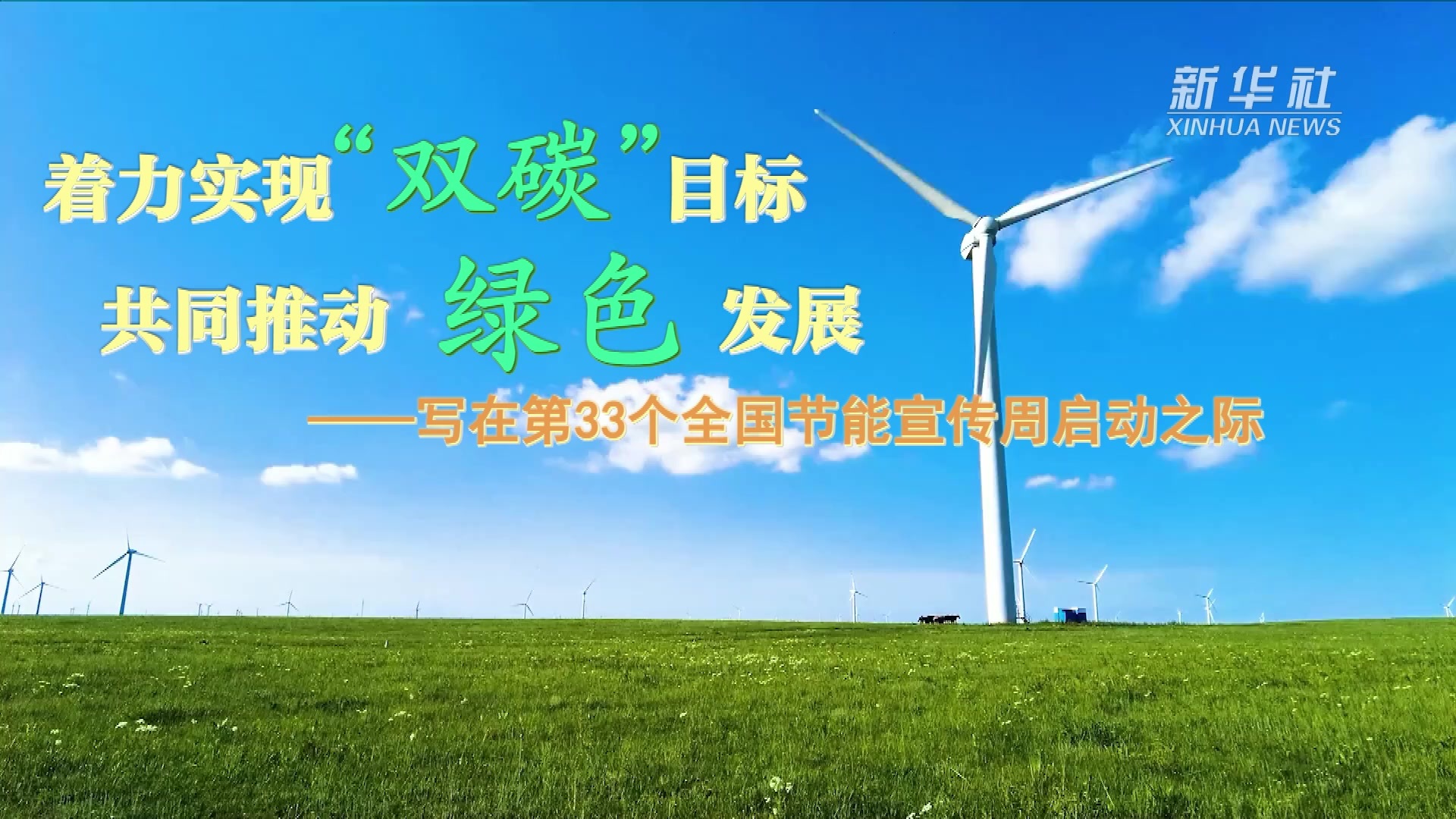 推动绿色可持续发展