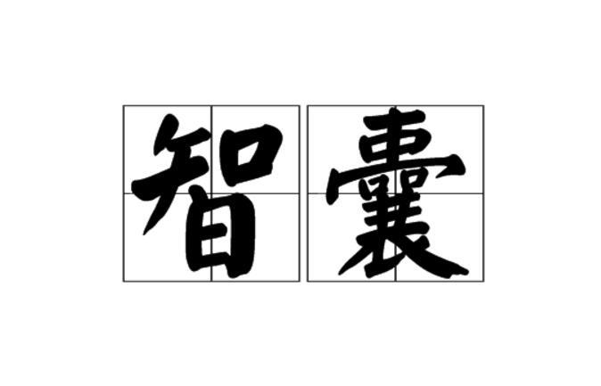 具体金额是多少