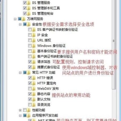 IIS配置与管理技巧