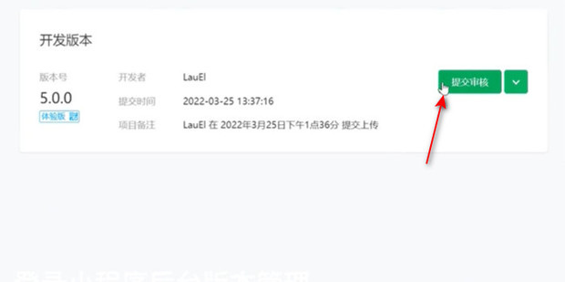 如何提交审核与发布上线