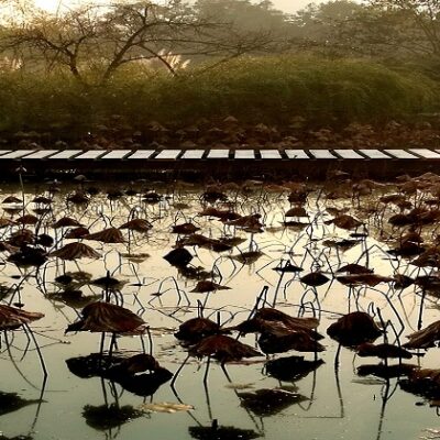 探秘成中医附属医院云端医疗体系的崛起
