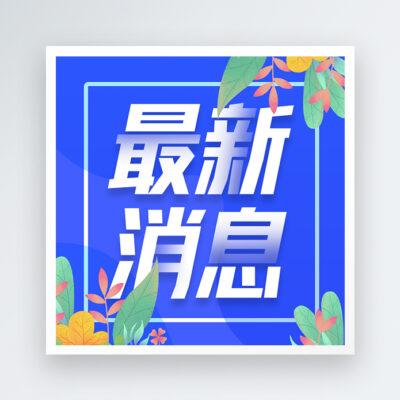 最新服务器号查询及游戏指南