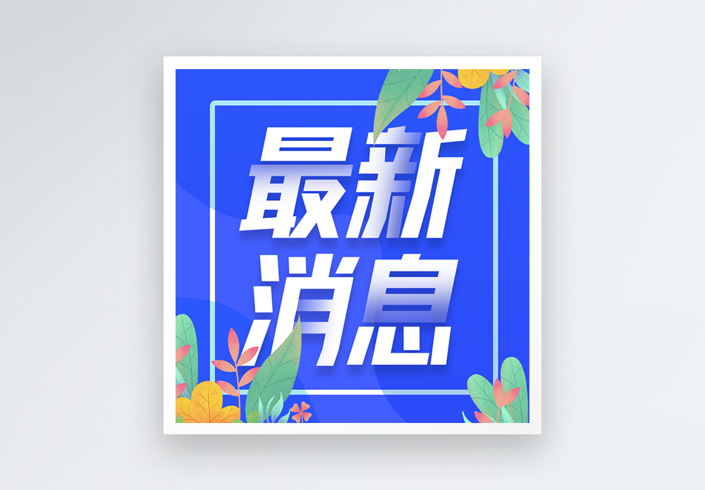 最新服务器号查询及游戏指南
