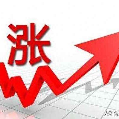最新价格动态及趋势分析