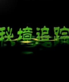一探究竟