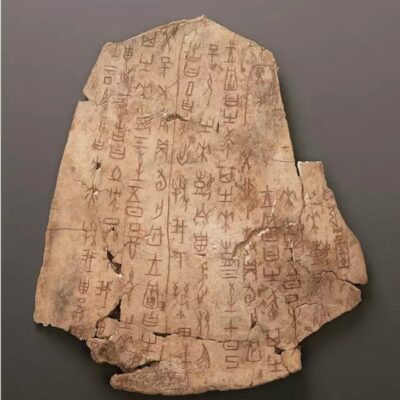 小哥解析甲骨文服务器的性能