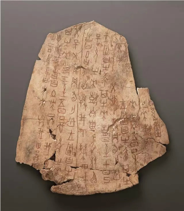小哥解析甲骨文服务器的性能