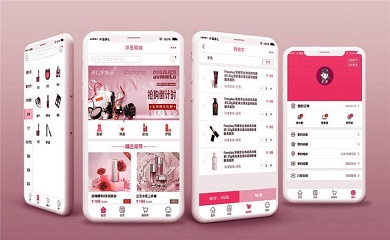 详解APP软件开发过程与技巧