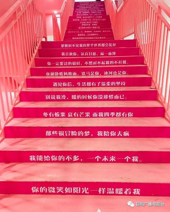 一步步指南与实用建议