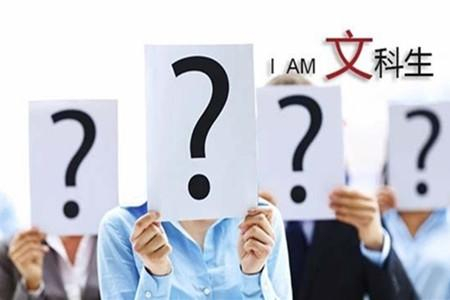 从价格到性能的综合考量
