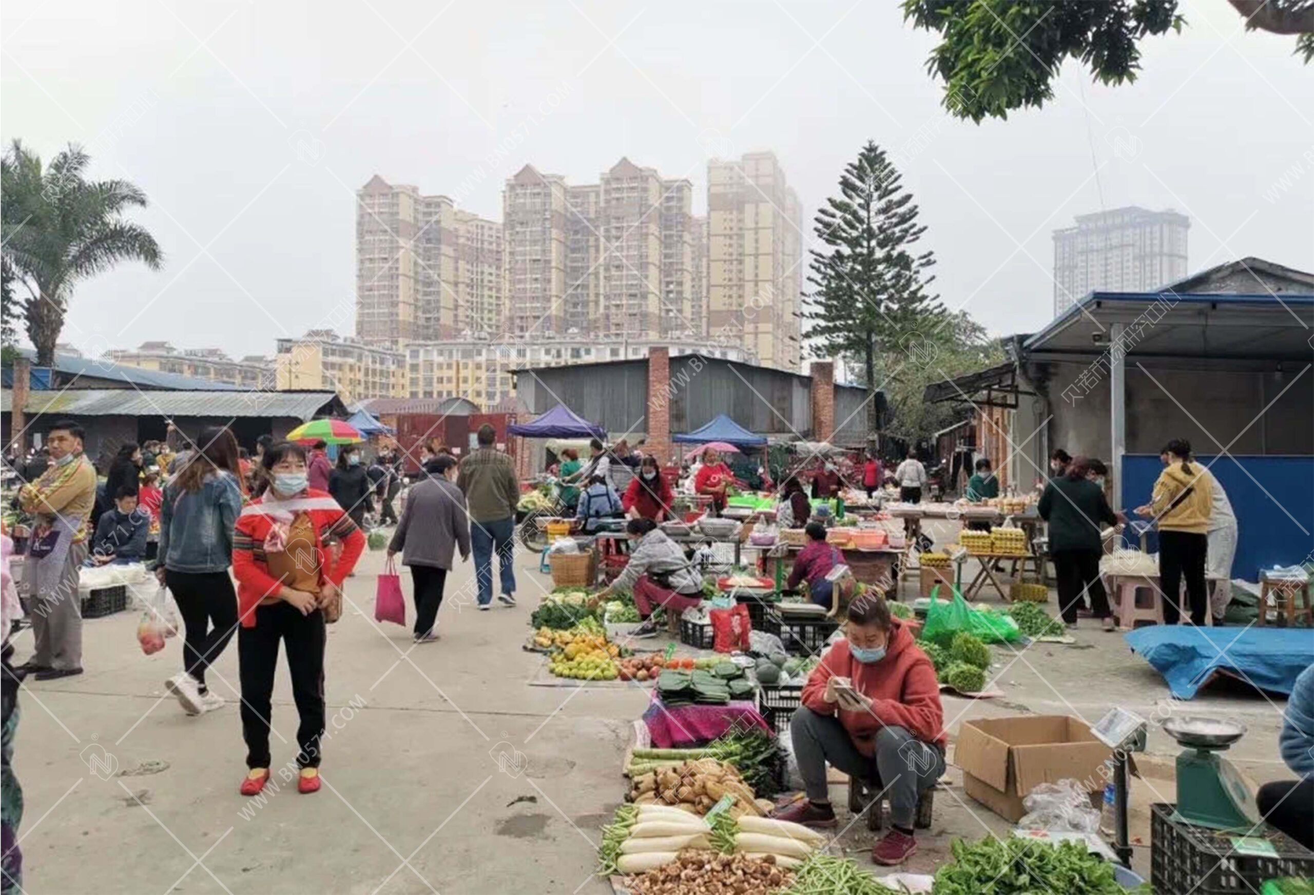 市场售价解析及参考价位探讨