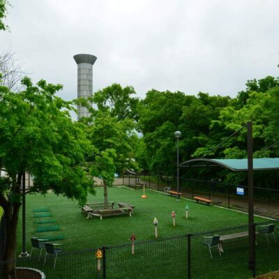 日本服务器市场价格及其波动