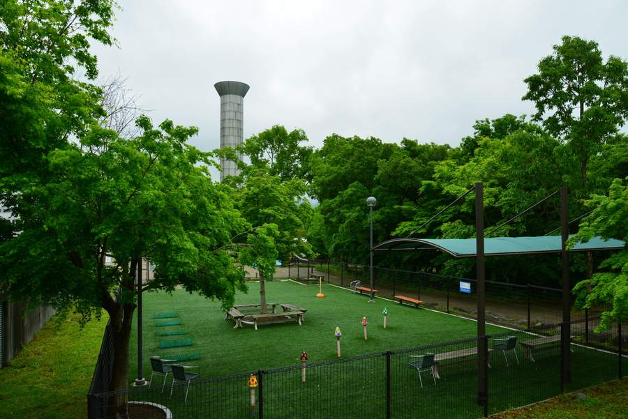 日本服务器市场价格及其波动