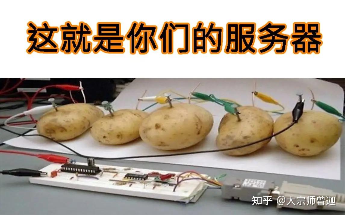 脏小豆服务器独家ID分享
