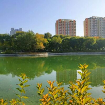 探讨石河子大学医学院云计算时代的进步与未来