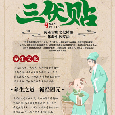 三、创建和管理网站内容