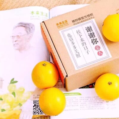揭秘橙味答卷背后神秘的服务器号
