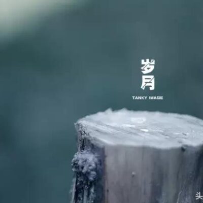 岁月见证成长，绿色征途历久弥新