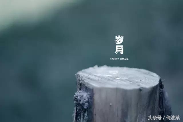 绿色征途历久弥新