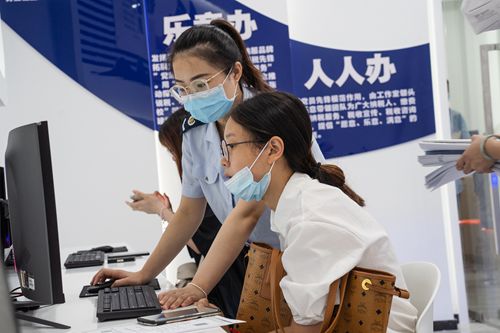 最新价格与市场趋势探讨