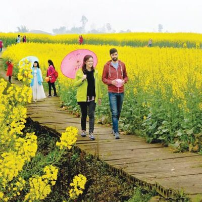 多元化旅游业态，重塑行业格局