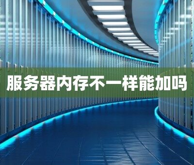 不同服务器应用场景下的内存需求分析。