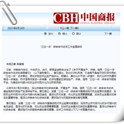 不同服务商报价对比