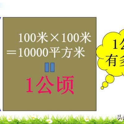 多少玩家在线游戏才能达到最佳体验？专家建议与玩家反馈分享。