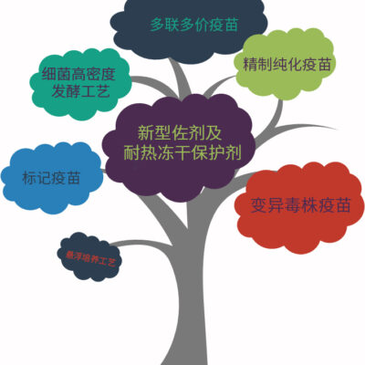 研究其前景与潜力